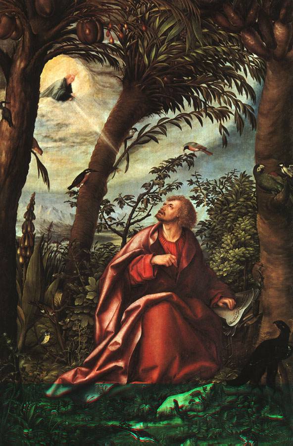 Vidente San Juan Apstol : cuadro del clebre apostol vidente quien vio en visin el libro del Apocalipsis